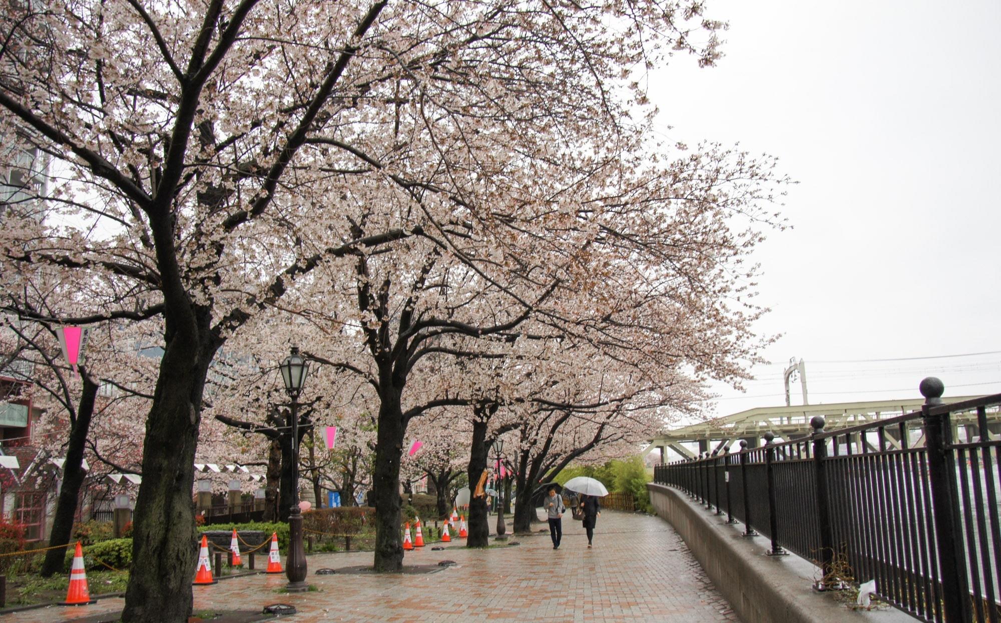 Parque Sumida